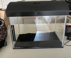 diversa fish tank