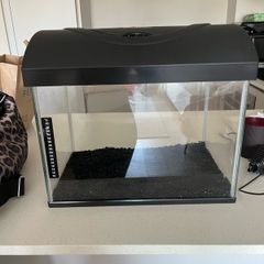 diversa fish tank