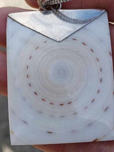 Stunning Sterling Silver Natural Shell Pendant Set.