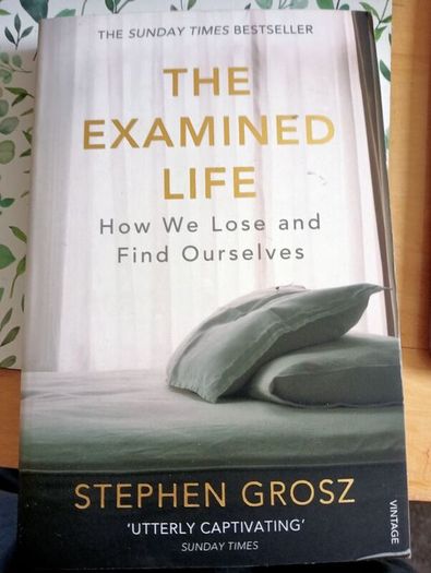 The Examined Life