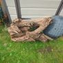 Fish Tank Drift Wood Image 4