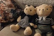 Paul costello twin bears
