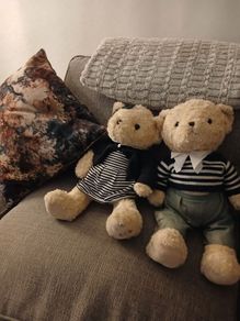 Paul costello twin bears