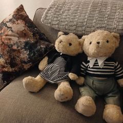 Paul costello twin bears