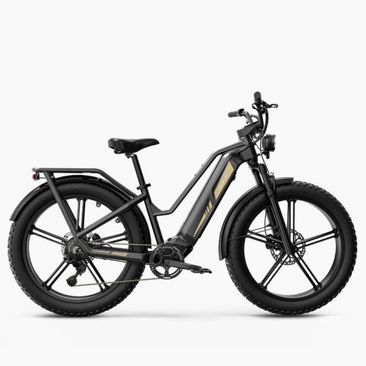 FIIDO TITAN CARGO Fat Tire Touring Electric Bike