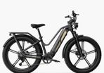 FIIDO TITAN CARGO Fat Tire Touring Electric Bike