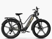 FIIDO TITAN CARGO Fat Tire Touring Electric Bike