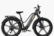 FIIDO TITAN CARGO Fat Tire Touring Electric Bike