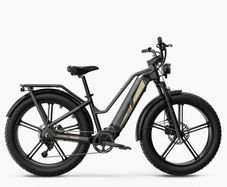 FIIDO TITAN CARGO Fat Tire Touring Electric Bike