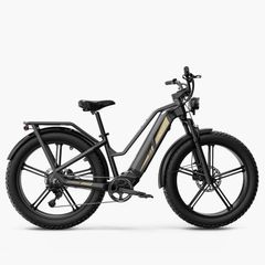 FIIDO TITAN CARGO Fat Tire Touring Electric Bike