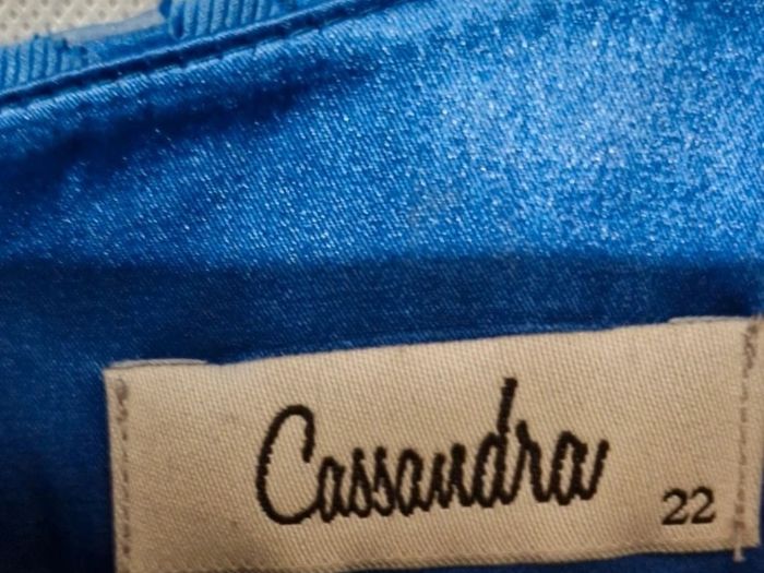 Cassandra Ladies dress with matching facinator Mother of the bride or Mother of the groom