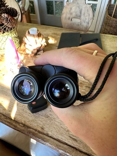 Leica Trinovid 8x20 BCA Compact Binoculars