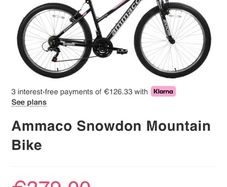 Mountain bike