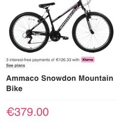 Mountain bike