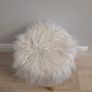 Stool Image 2