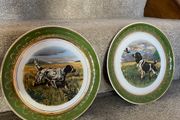 1960 Arklow Pottery Decorative plates [PAIR]