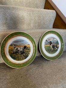 1960 Arklow Pottery Decorative plates [PAIR]