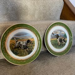 1960 Arklow Pottery Decorative plates [PAIR]