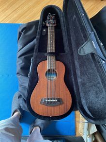 Ukulele bass with matching hard case
