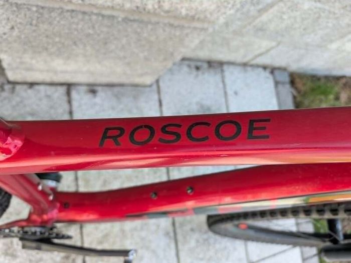 Mountain Bike - Trek Roscoe 9 2023 - medium/large - Crimson Red
