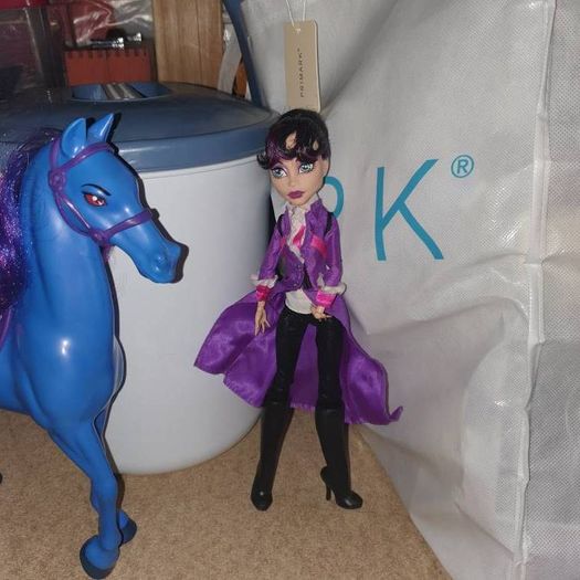 Monster high dolls plays etc and accessories
