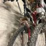 bikes Image 3