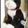 Jess Postman Pat's black and white cat (454)  1 Image 2