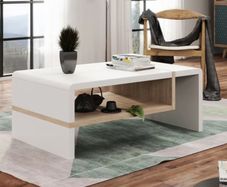 Rectangular Laminated Modern Coffee Table