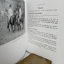 The Young Rider Picture Book by Golden Gorse (PT260) Image 5