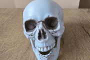 Halloween skull