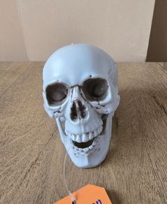 Halloween skull