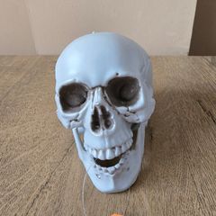 Halloween skull