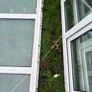 PVC Windows OFFERS!! Must go! Image 10