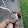 roamer rotopower Image 2