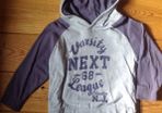 Age 2-3 NEXT Grey & Purple Hooded Top