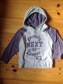 Age 2-3 NEXT Grey & Purple Hooded Top