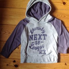 Age 2-3 NEXT Grey & Purple Hooded Top