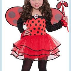 Brand New Ladybird costume