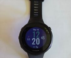 Garmin Forerunner 45 GPS Running Watch