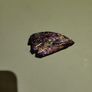Kyanite crystal specimen Image 4
