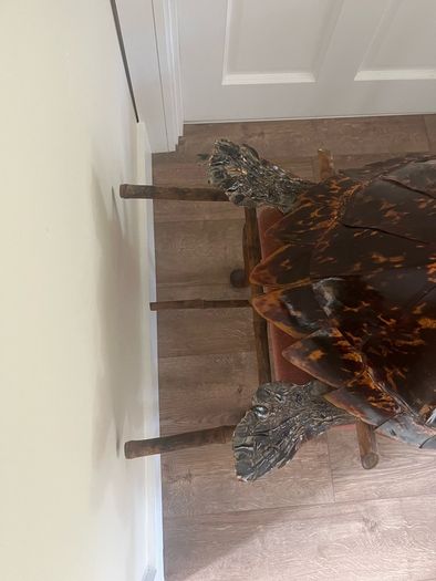 Antique Rare Large Taxidermy Hawksbill Sea Turtle