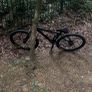 Carerra vengance wheelie bike Image 5
