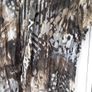 Gerry Webber Short Sleeve Blouse Image 2