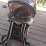 Chicco Caddy toddler carrier Image 6