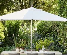 parasol