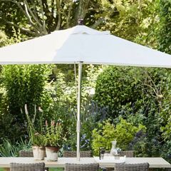 parasol