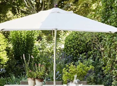 parasol