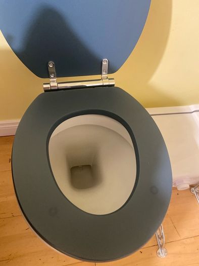 Milano Richmond Toilet - OFF DISPLAY traditional