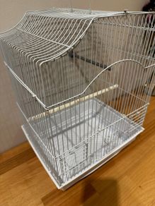 Bird Cage for Sale