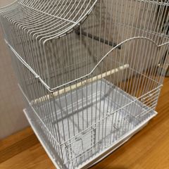 Bird Cage for Sale